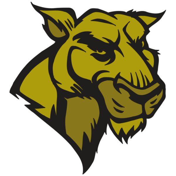 AR5 COUGAR 18 RQC Thumbnail